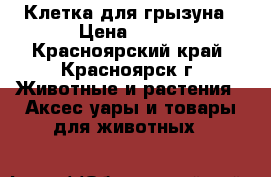 Клетка для грызуна › Цена ­ 850 - Красноярский край, Красноярск г. Животные и растения » Аксесcуары и товары для животных   